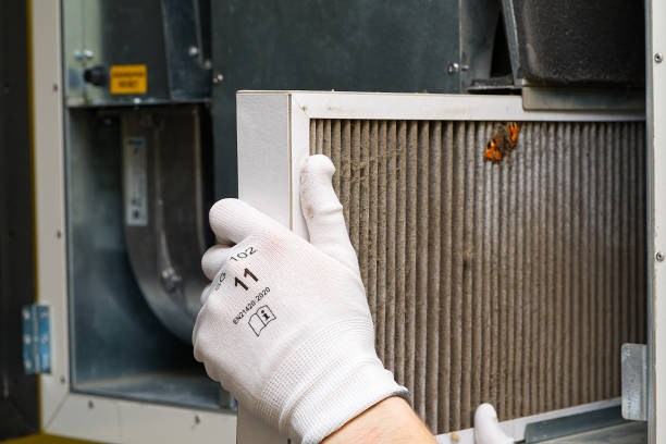 Best Duct Cleaning for Homes  in Waldo, FL